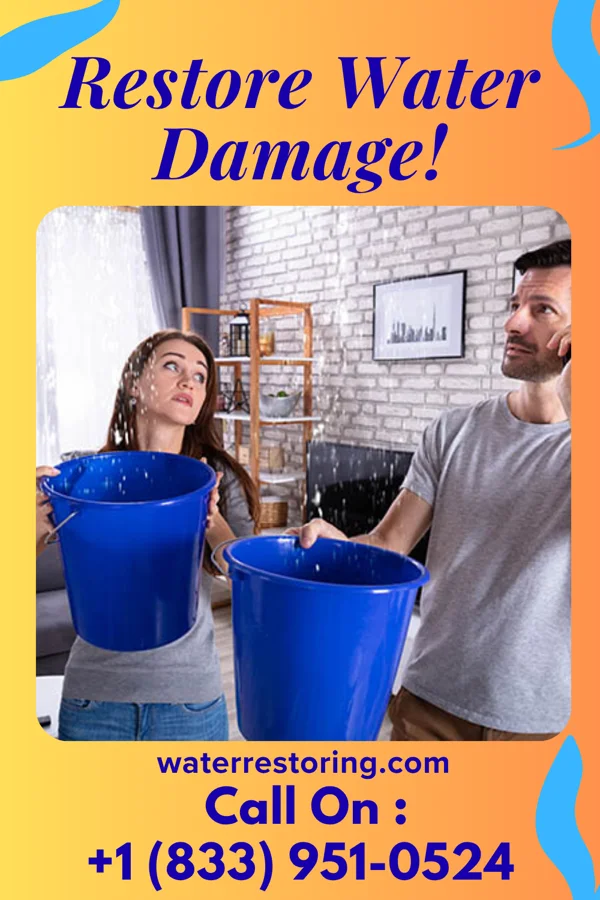 water restoration Vigilant Water Removal Authority West Kennebunk